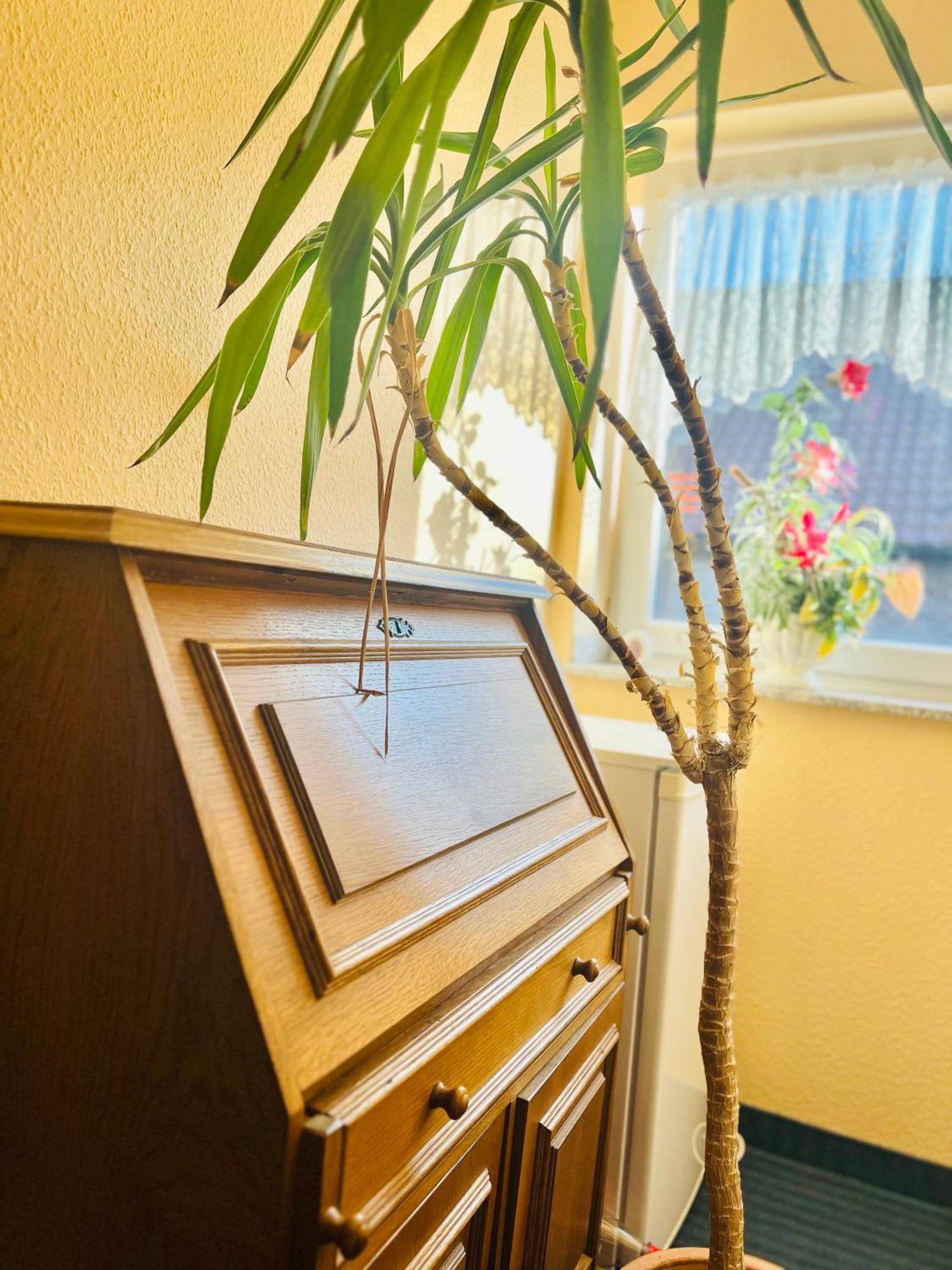 Tm Hotel Westfalen Lünen المظهر الخارجي الصورة